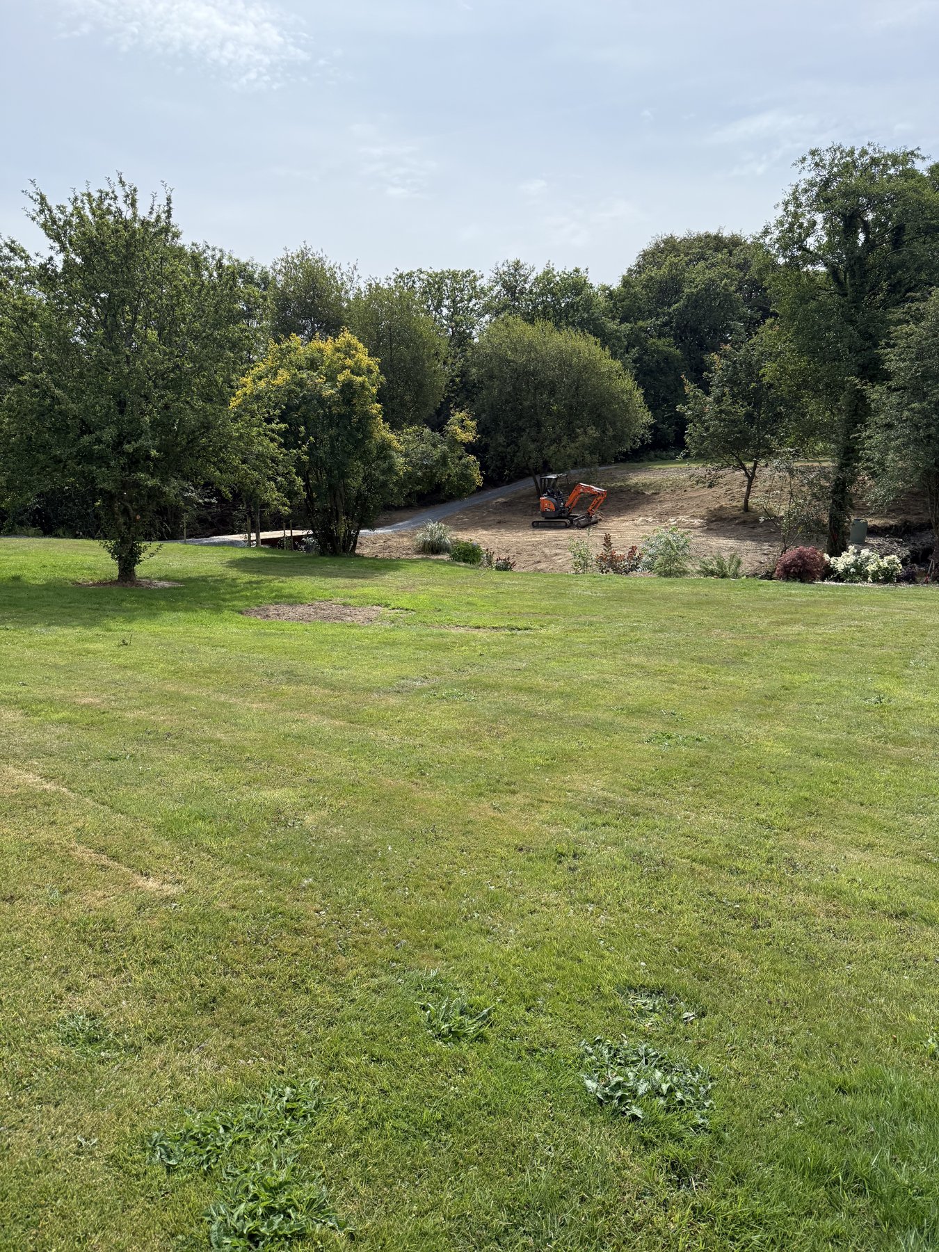 Open lawn and mature trees at a rural property